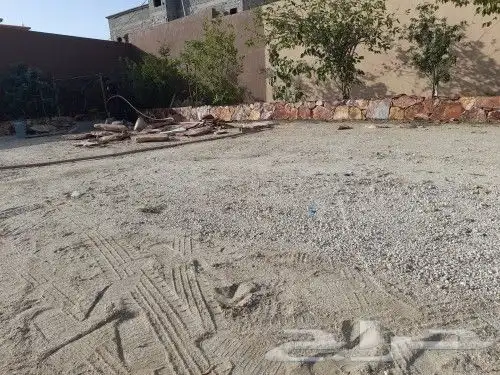 ابهاء النماص العلايه باشوت تنومه بلسمر الباحه 12