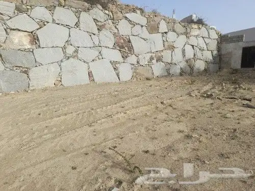 ابهاء النماص العلايه باشوت تنومه بلسمر الباحه 10