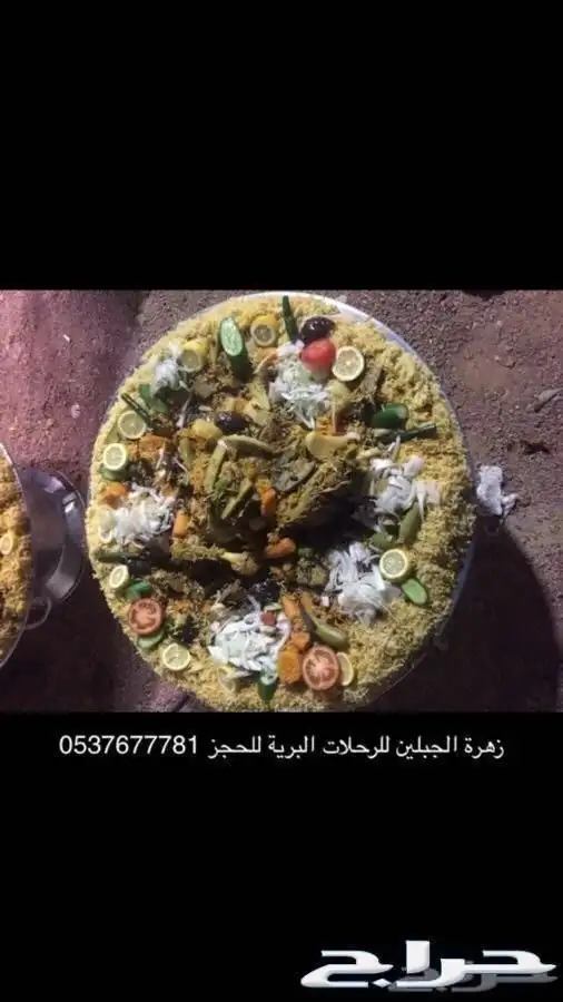 زهرة الجبلين للرحلات البرية بيت شعر ملكي كشتات طلعات قيلات 15