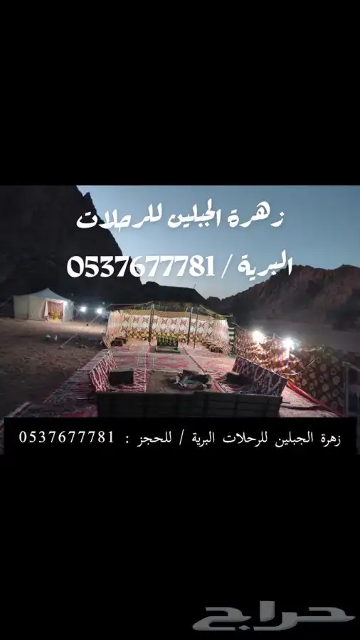 زهرة الجبلين للرحلات البرية بيت شعر ملكي كشتات طلعات قيلات 23