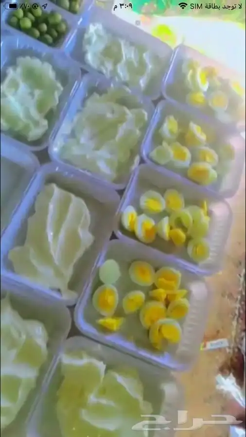 زهرة الجبلين للرحلات البرية بيت شعر ملكي كشتات طلعات قيلات 18