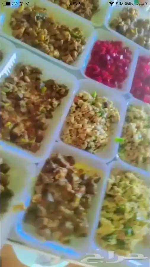 زهرة الجبلين للرحلات البرية بيت شعر ملكي كشتات طلعات قيلات 17