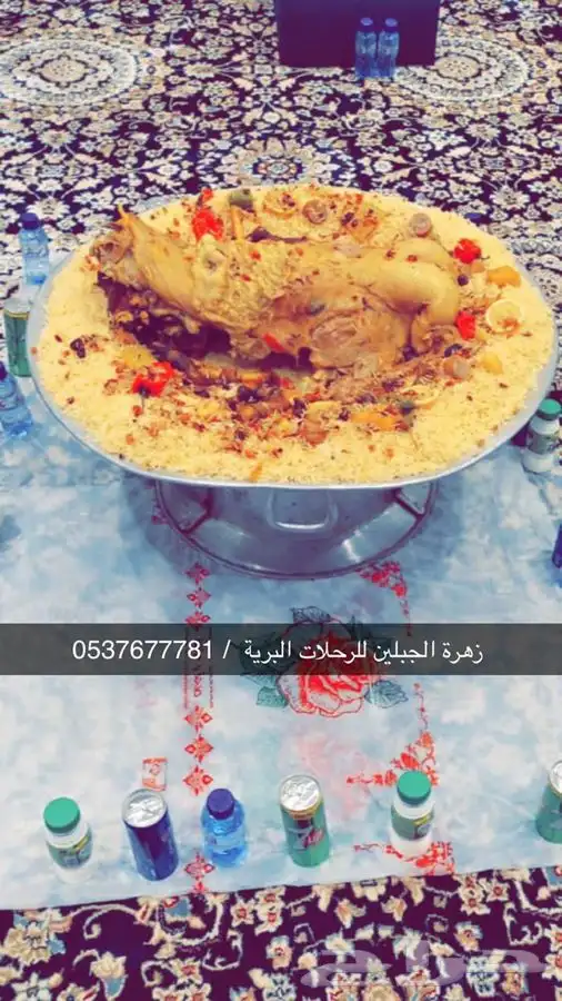 زهرة الجبلين للرحلات البرية بيت شعر ملكي كشتات طلعات قيلات 6