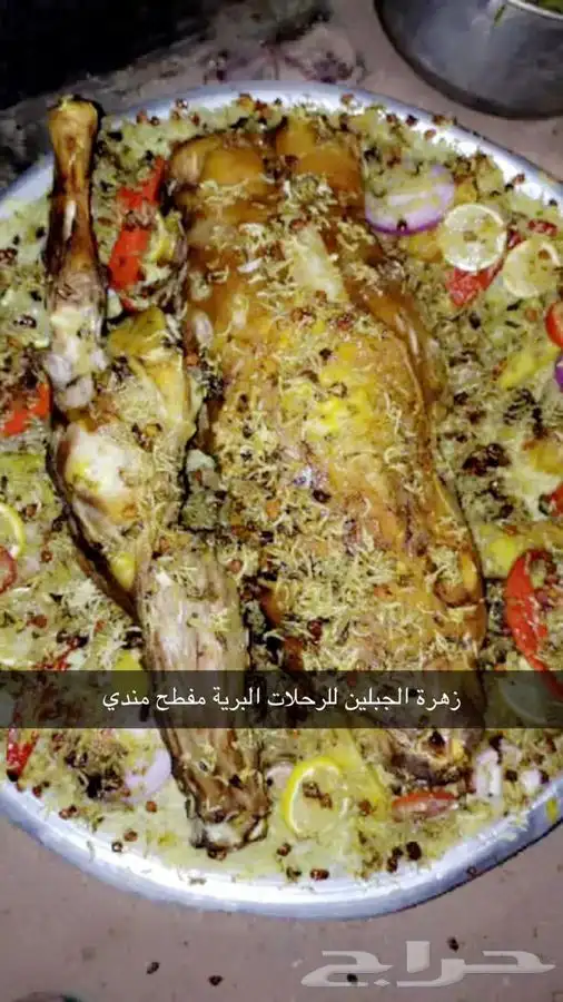 زهرة الجبلين للرحلات البرية بيت شعر ملكي كشتات طلعات قيلات 16