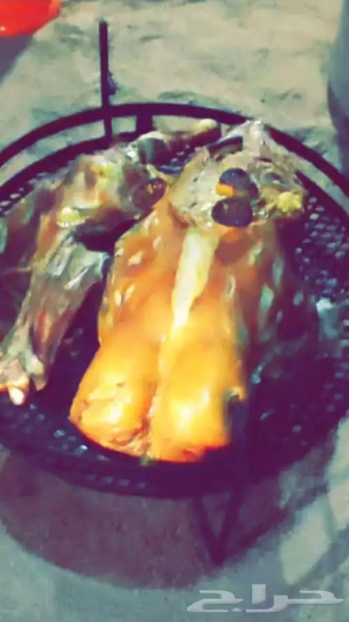 للرحلات البرية ثلاث عمال ضيافة بنغلاديش وخيمه عمودين 4