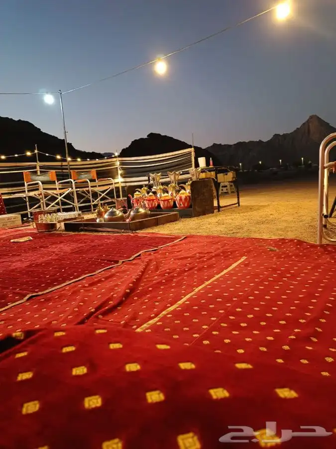 زهرة الجبلين للرحلات البرية بيت شعر ملكي كشتات طلعات قيلات 0