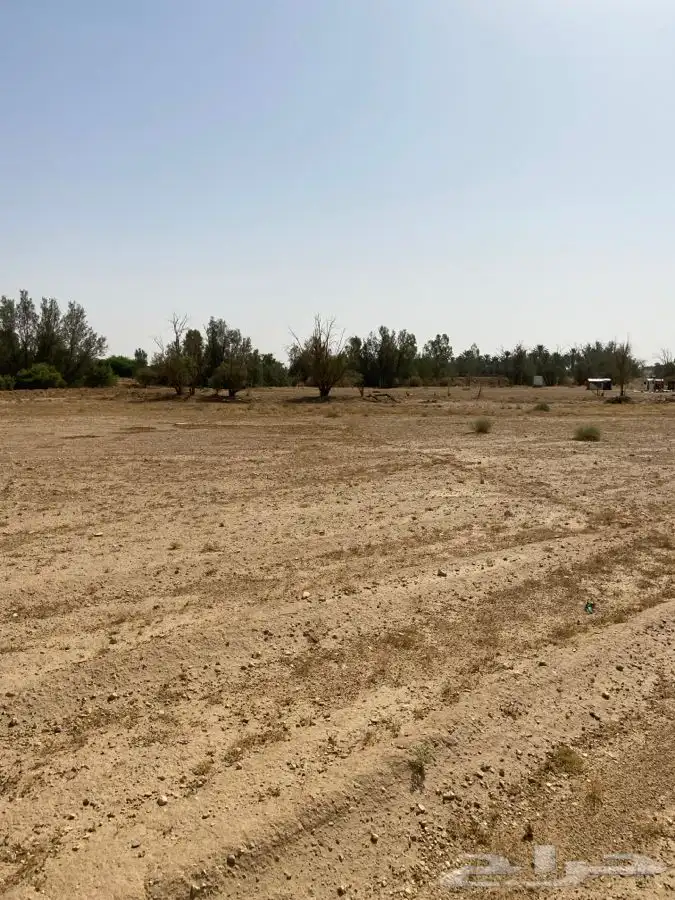 ارض زراعية للبيع أو الايجار بالاسياح 2