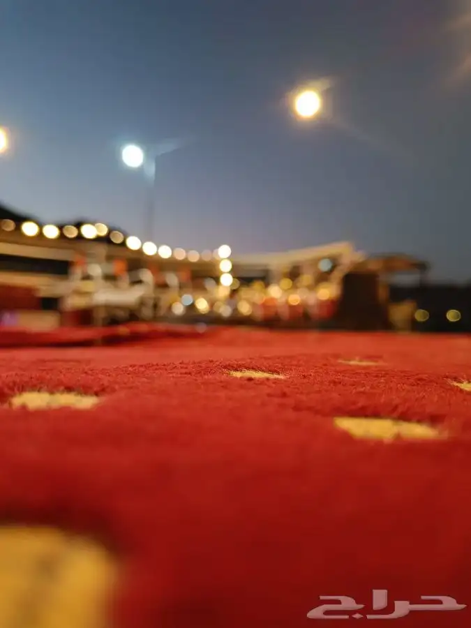 زهرة الجبلين للرحلات البرية بيت شعر ملكي كشتات طلعات قيلات 3