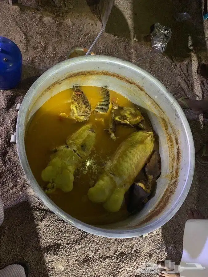 للرحلات البرية ثلاث عمال ضيافة بنغلاديش وخيمه عمودين 18