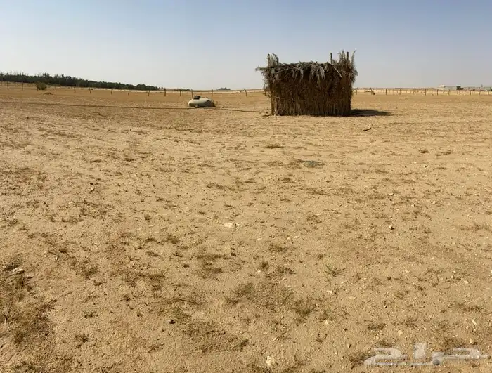 ارض زراعية للبيع أو الايجار بالاسياح 7