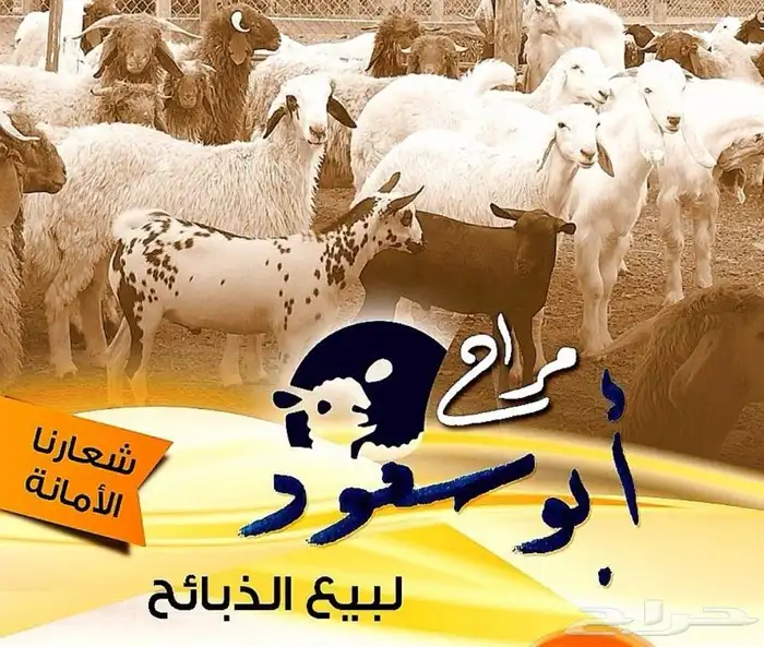 سواكني حمريات للثلاجه وللمناسبات والزواجات 95