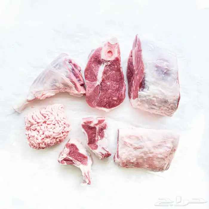 اضاحي أغنام مزارع الخير 2