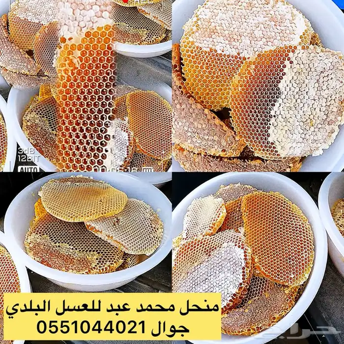 جديد عسل سدر جبال منطقة جيزان 1445هجري 3