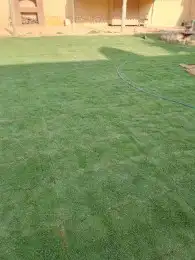 ثيلCL2000حق الخرج 7