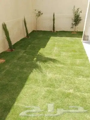 ثيلCL2000حق الخرج 3