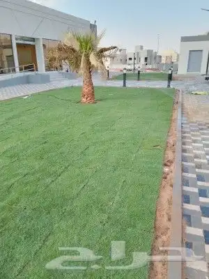 ثيلCL2000حق الخرج 6
