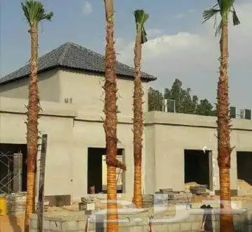 وشنطوني ربست 6