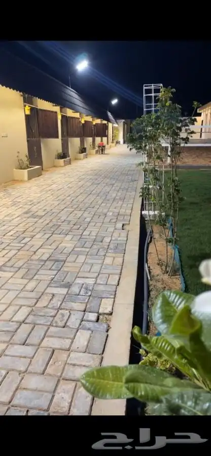 ركوب خيل بالساعة في منتجع خاص 3