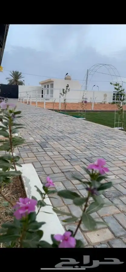 ركوب خيل بالساعة في منتجع خاص 2