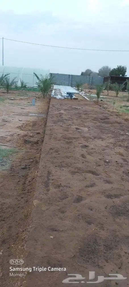 حجر عشوائي 4