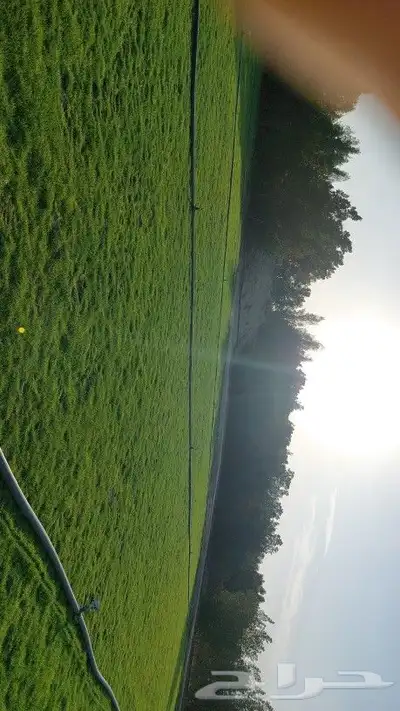 ثيل طبيعي c2000 4