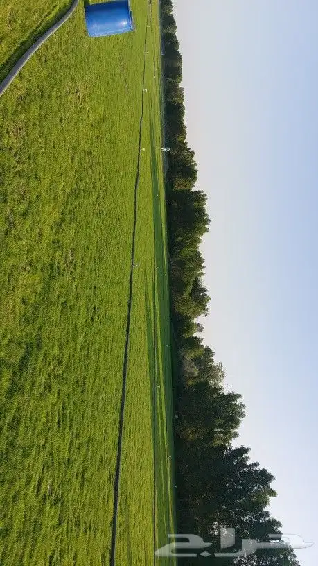 ثيل طبيعي c2000 3