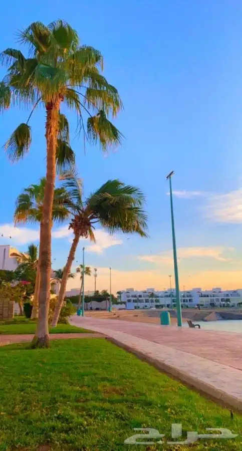 شاليه منتجع درة العروس على البحر مباشرة 0