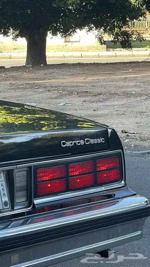 كابرس 89 نظيف ( تم البيع ) 14