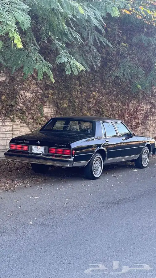 كابرس 89 نظيف ( تم البيع ) 10