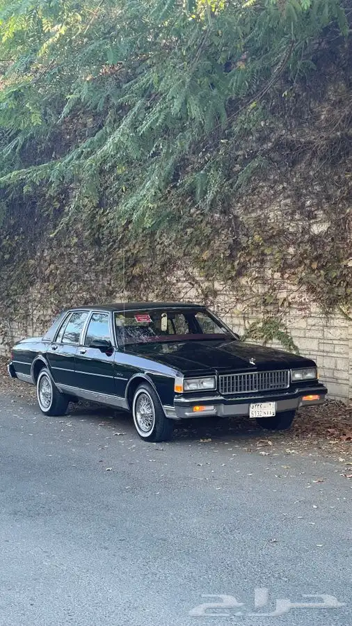 كابرس 89 نظيف ( تم البيع ) 15