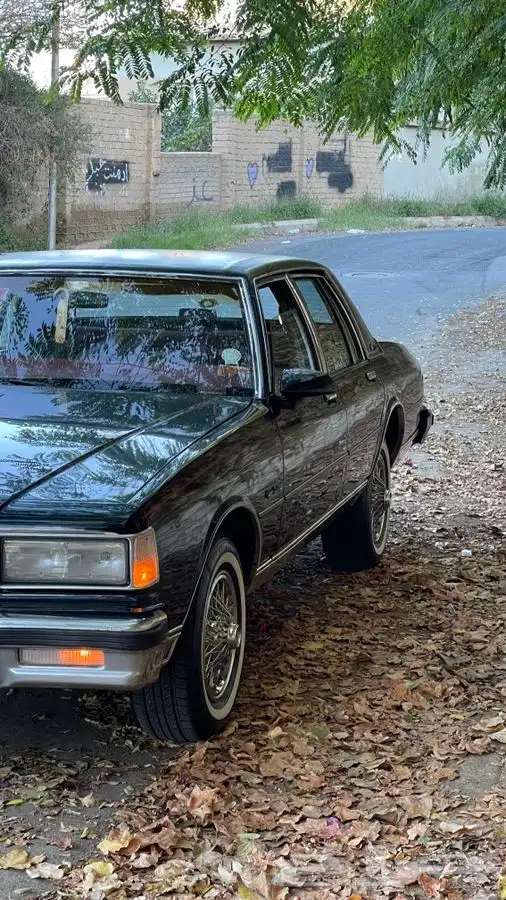 كابرس 89 نظيف ( تم البيع ) 18