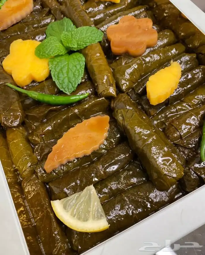 ورق عنب بنت الوطن جرب وانت الحكم 2