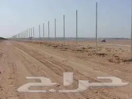 افخم انوع الشبوك بشكالها 2