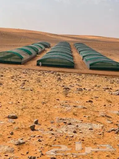 افخم انوع الشبوك بشكالها 8
