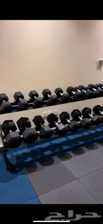 دفاش أرجل سحب ضهر متوازي عقله دنابل كيبل كروس سير نادي 41