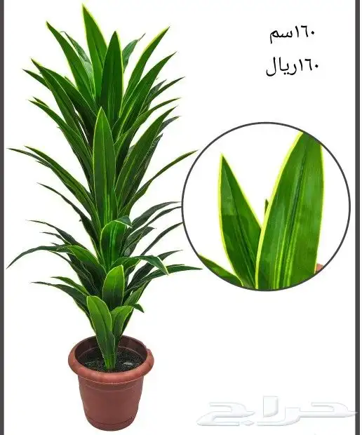 شجر صناعي 20