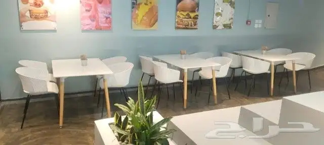 كراسي كوفي شوب جده 2