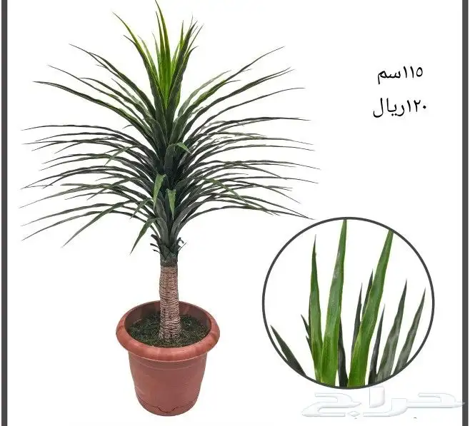 شجر صناعي 22