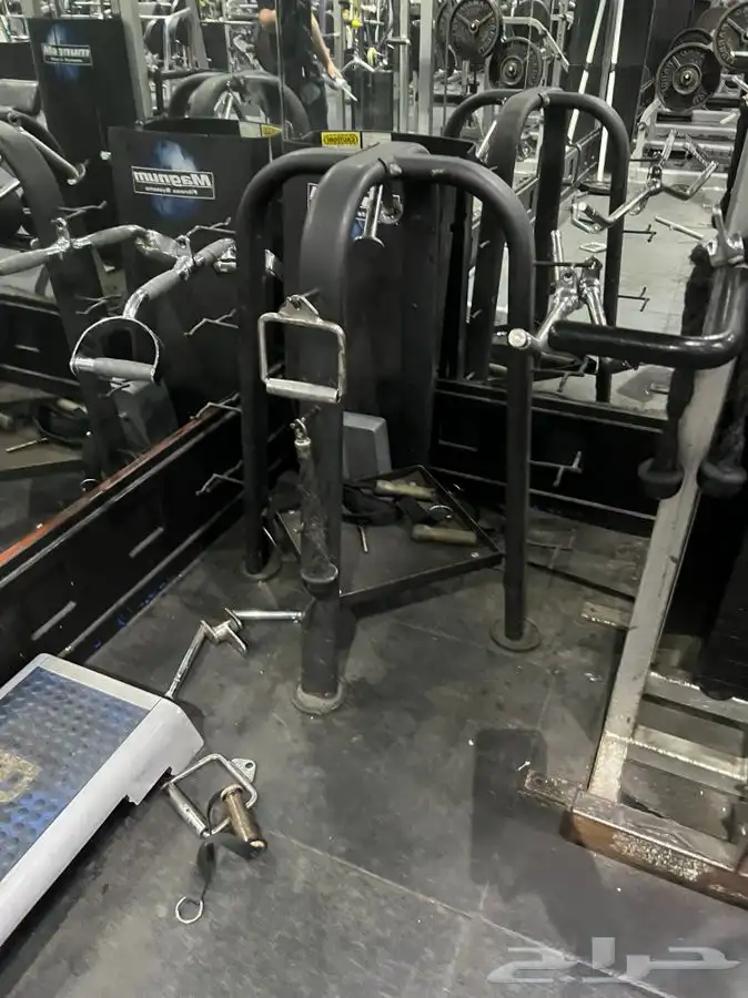 دفاش أرجل سحب ضهر متوازي عقله دنابل كيبل كروس سير نادي 56