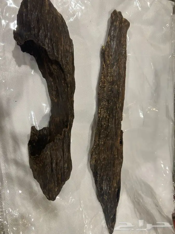 مطلوب عود اندروتر قديم قطع كبيره اندر وتر 1