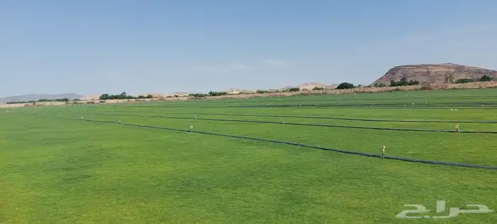 ثيل طبيعي نجيله طبيعي 2