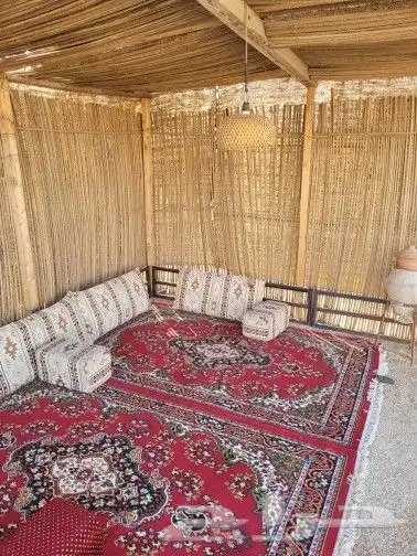 مخيم للبيع طرف شمال الرياض بكامل اغراضه 13 مخيم للبيع طرف شمال الرياض بكامل اغراضه 13