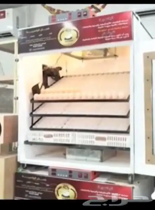 فقاسات الياسريه بنضام التبريد 3