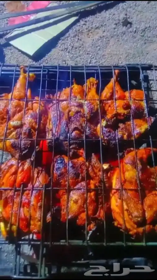 تجهيز مخيمات في حائل مع عمال ضيافة 21