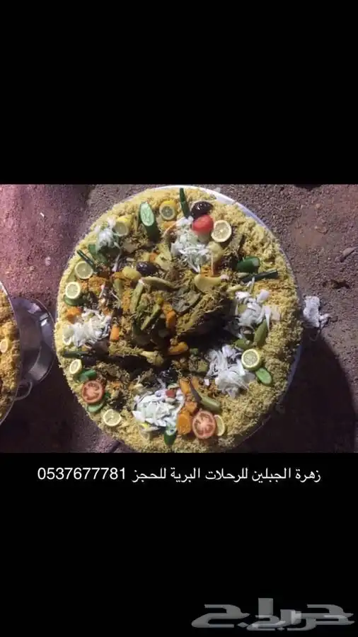 تجهيز مخيمات في حائل مع عمال ضيافة 32