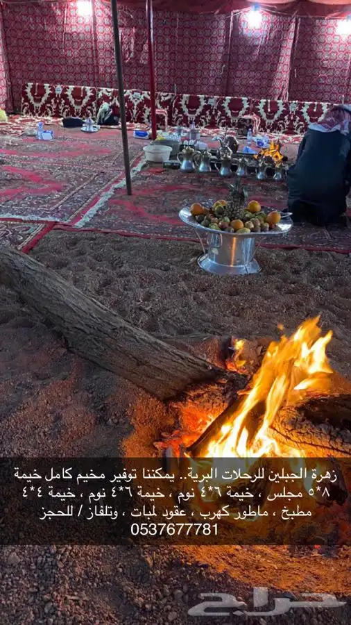 تجهيز مخيمات في حائل مع عمال ضيافة 3