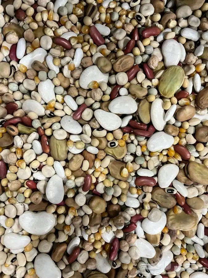 منقوع بقوليات خلطه الوزان 0
