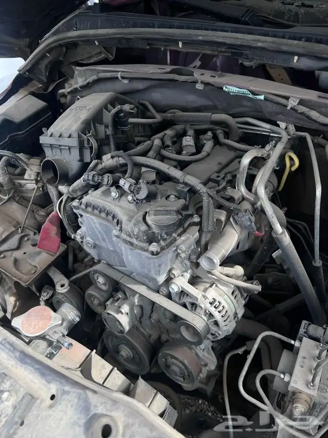 قير راش 2022 0