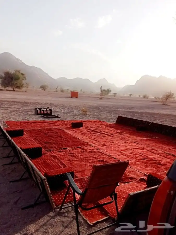 تجهيز مخيمات في حائل مع عمال ضيافة 12