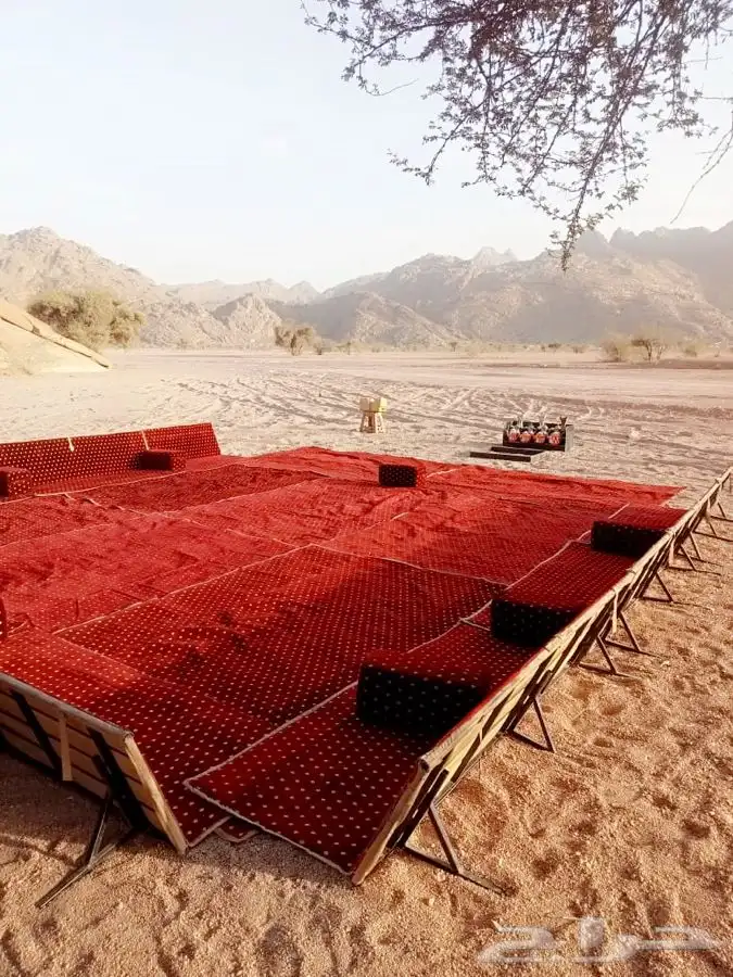 تجهيز مخيمات في حائل مع عمال ضيافة 11